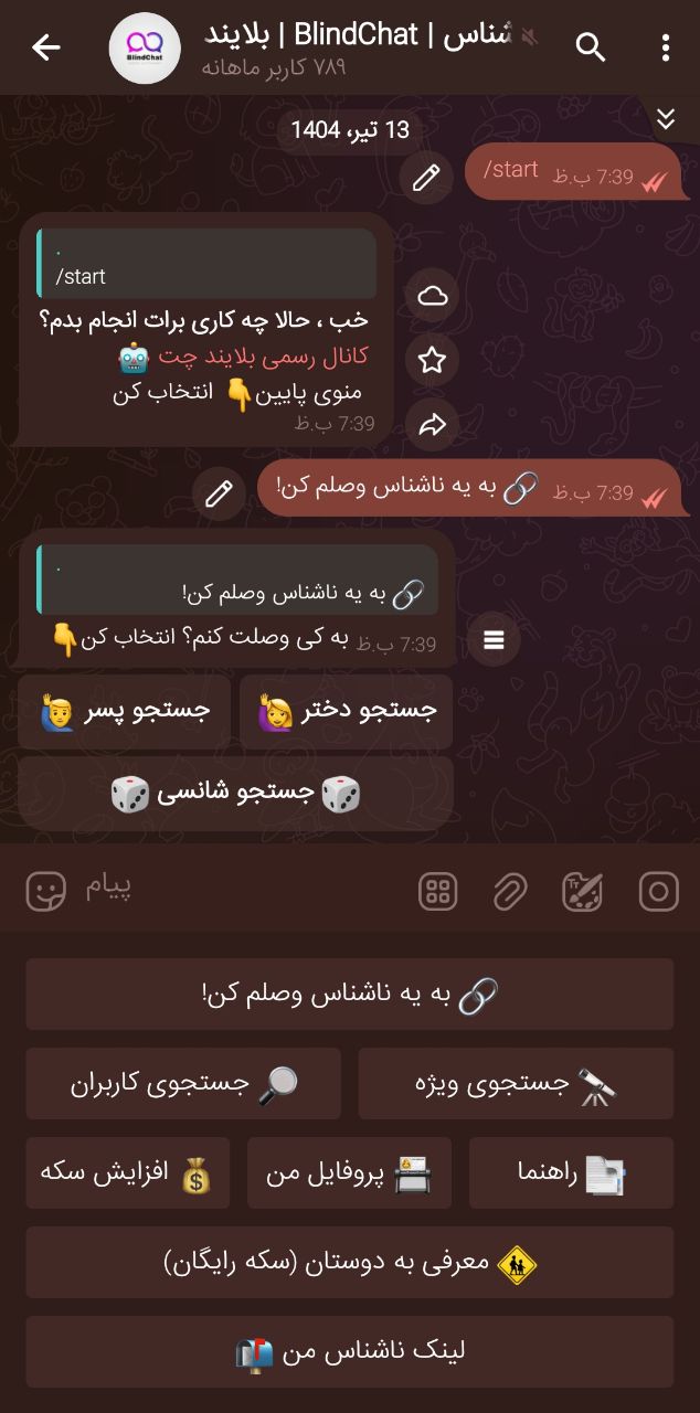 تنظیمات کاربری بلایند چت